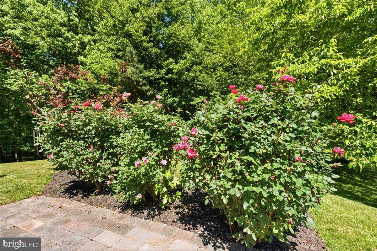 2424 Springbrook Court Huntingtown, MD 20639 - Photo 13 of 27
