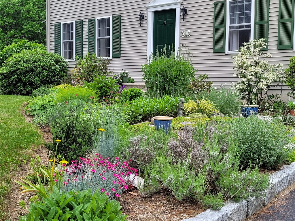 46 A School Street Upton, MA 01568 - Photo 1 of 42 a view of a garden with plants