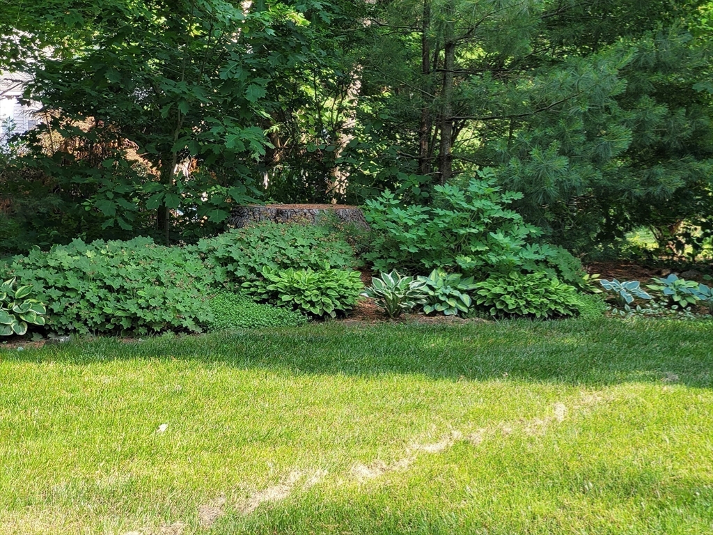 46 A School Street Upton, MA 01568 - Photo 33 of 42 a view of a garden