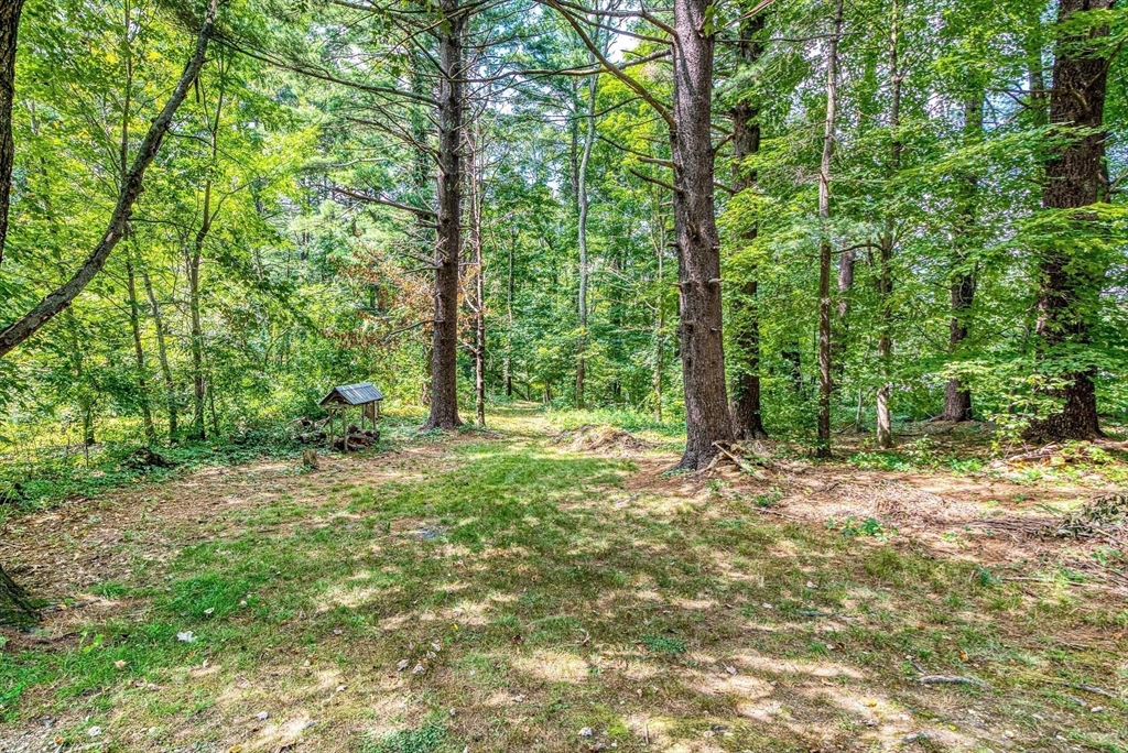 46 A School Street Upton, MA 01568 - Photo 41 of 42 a view of a forest with trees