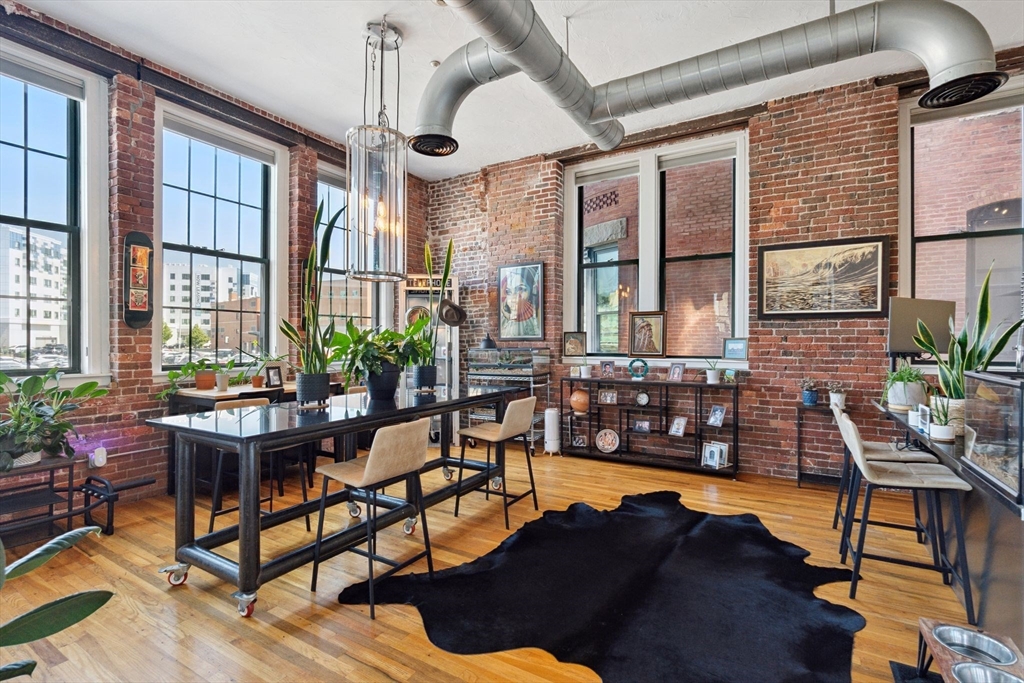 13-17 Willow Street, Unit 206 Lynn, MA 01901 - Photo 18 of 39 a living room with furniture and a potted plant
