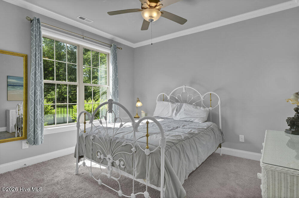 697 Jenoa Loop Castle Hayne, NC 28429 - Photo 20 of 54 BR 2