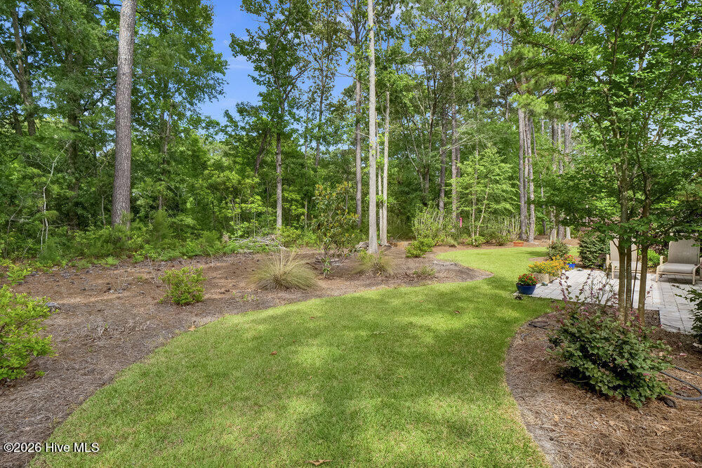 697 Jenoa Loop Castle Hayne, NC 28429 - Photo 31 of 54 Rear Yard