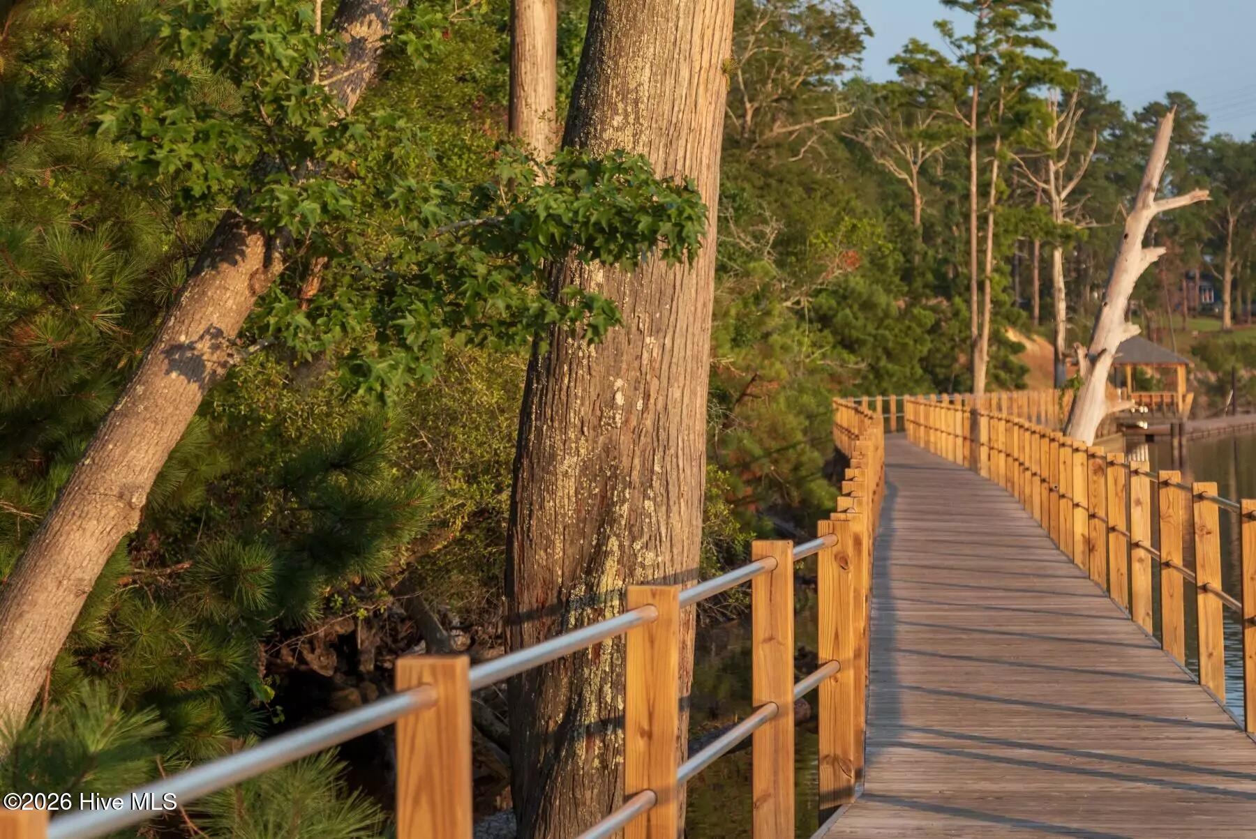 697 Jenoa Loop Castle Hayne, NC 28429 - Photo 36 of 54 RB Riverwalk