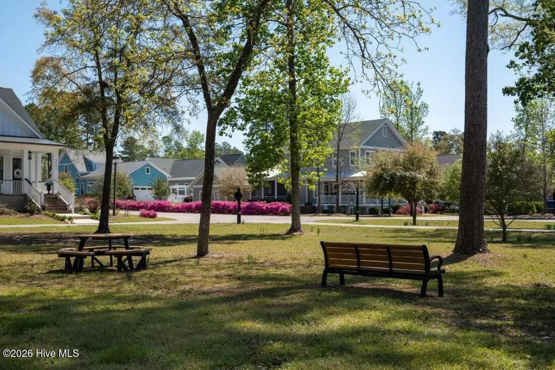 697 Jenoa Loop Castle Hayne, NC 28429 - Photo 49 of 54 Parks