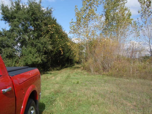 8000 East Broomfield Road Shepherd, MI 48883 - Photo 11 of 11 1865622-10.JPG