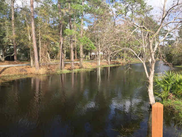 13 Claudette Circle Orange Beach, AL 36561 - Photo 22 of 22 Great fishing