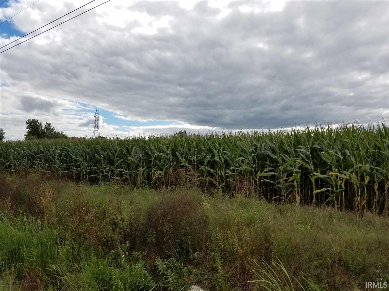 0 South St Road New Castle, IN 47362 - Photo 4 of 10