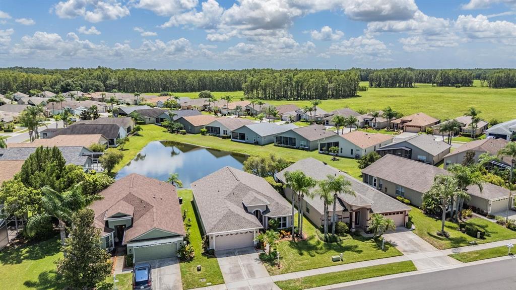 1042 Dustan Place Trinity, FL 34655 - Photo 22 of 48 an aerial view of a house with a garden