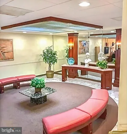 a room with furniture and a potted plant