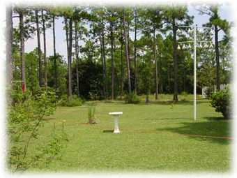 a swimming pool with trees in the background