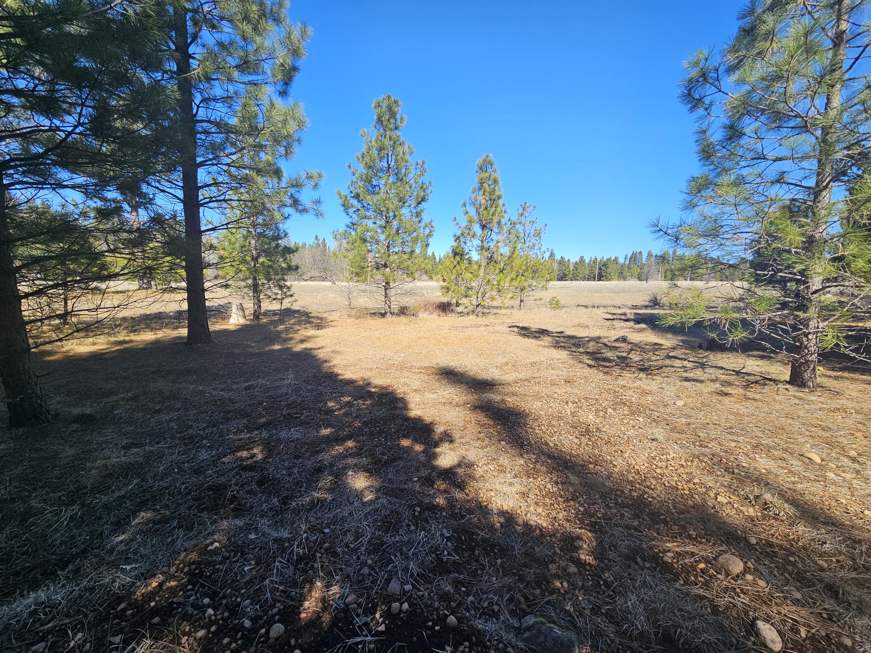 Oak Lane Shingletown, CA 96088 - Photo 4 of 10 6