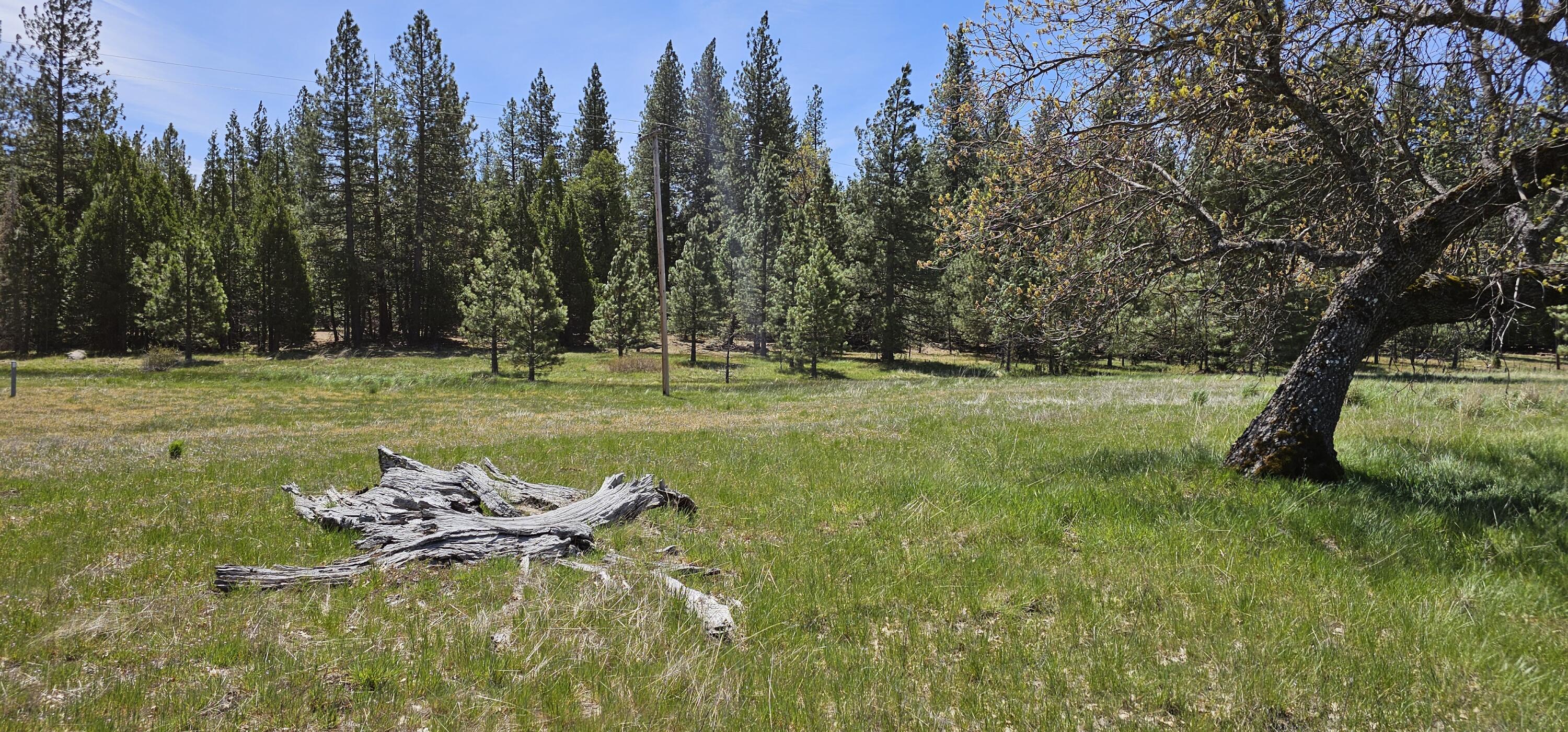 Oak Lane Shingletown, CA 96088 - Photo 6 of 10 11