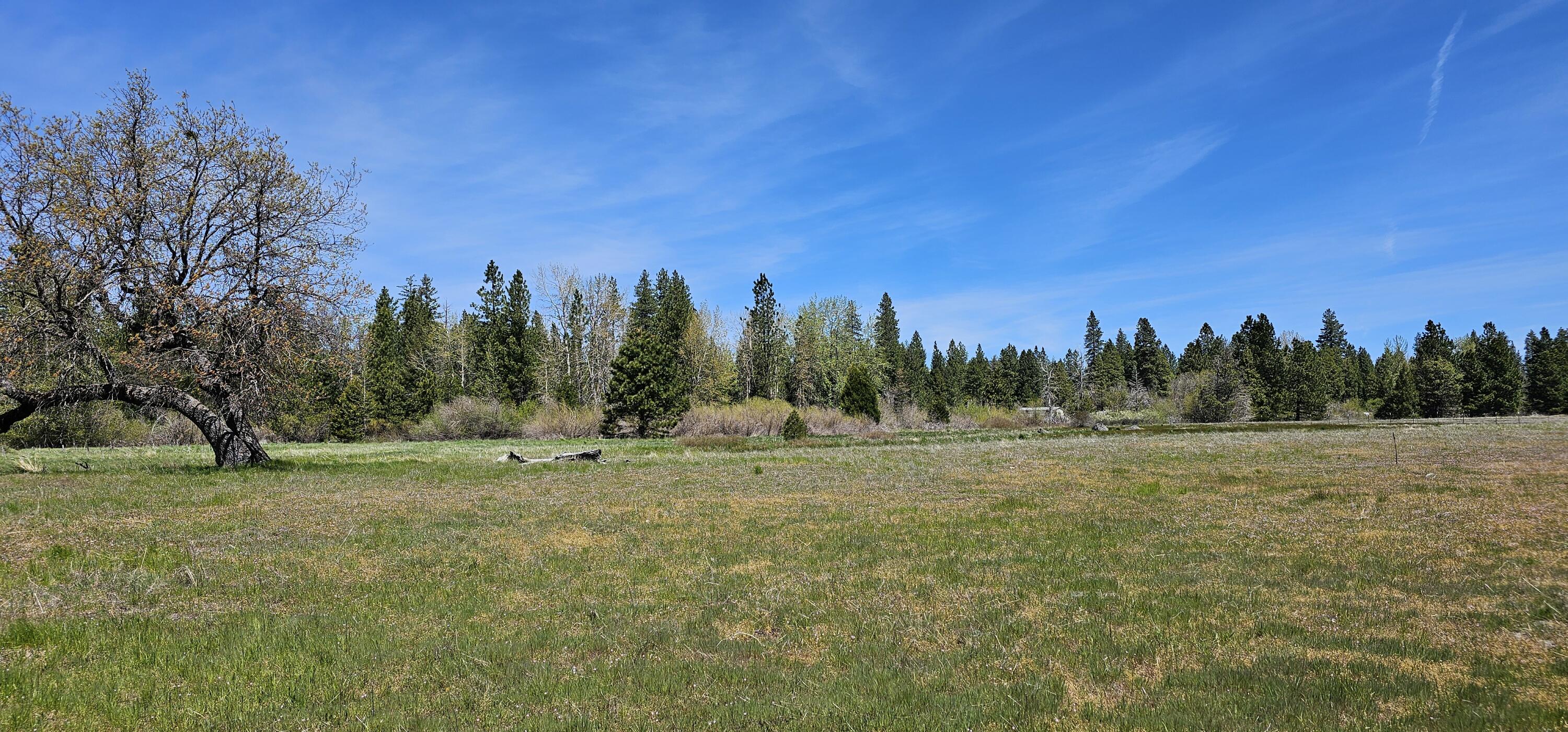 Oak Lane Shingletown, CA 96088 - Photo 7 of 10 12