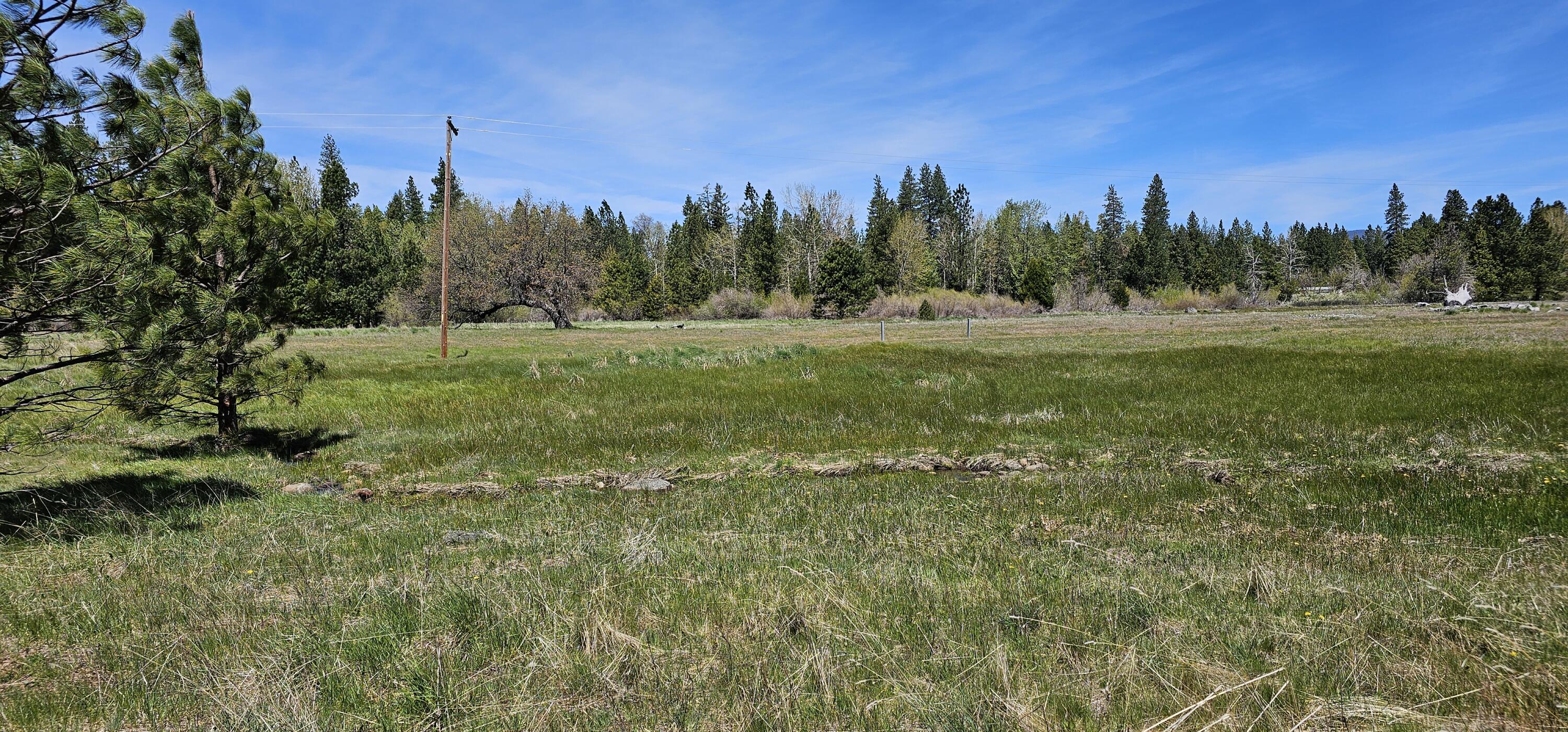 Oak Lane Shingletown, CA 96088 - Photo 8 of 10 13