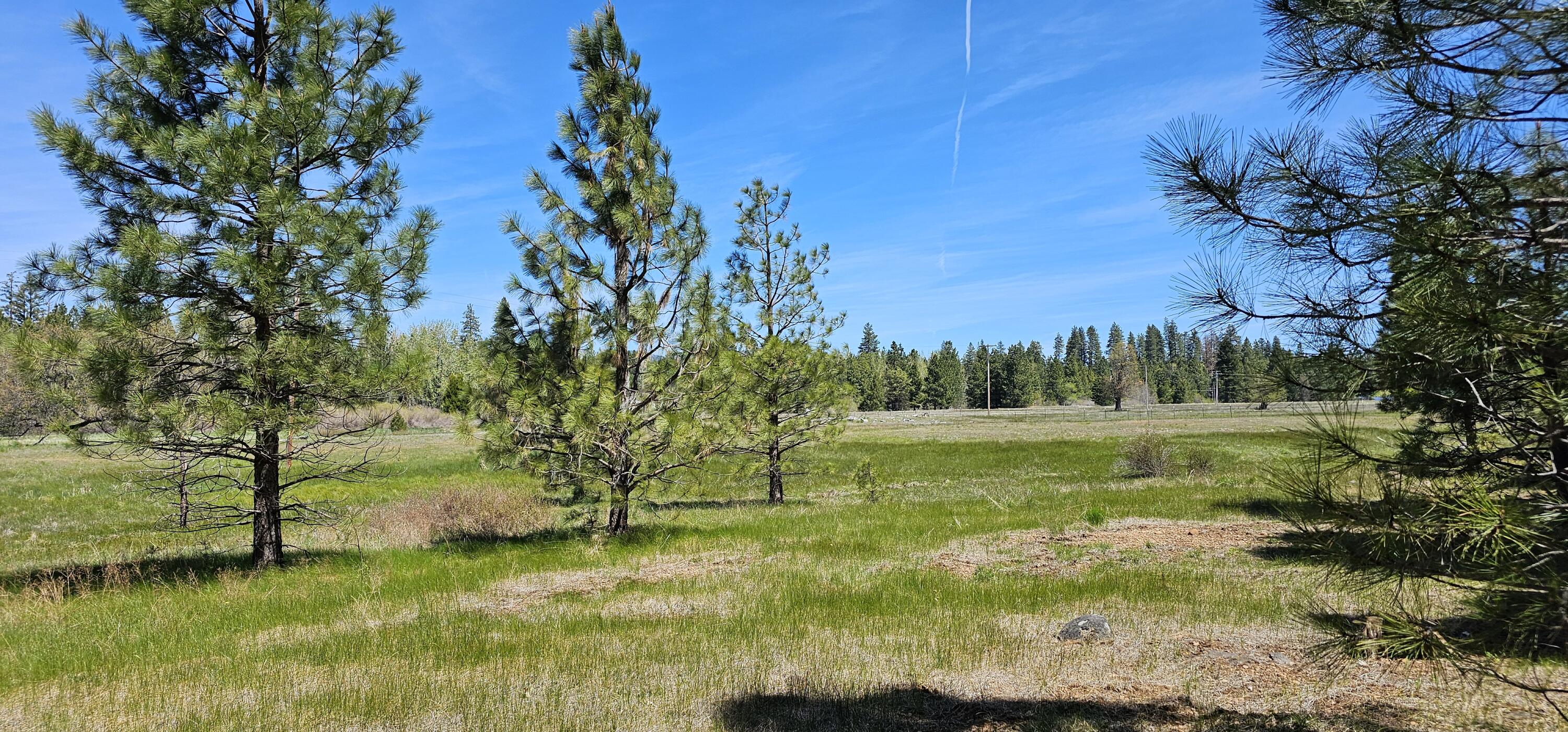 Oak Lane Shingletown, CA 96088 - Photo 10 of 10 15