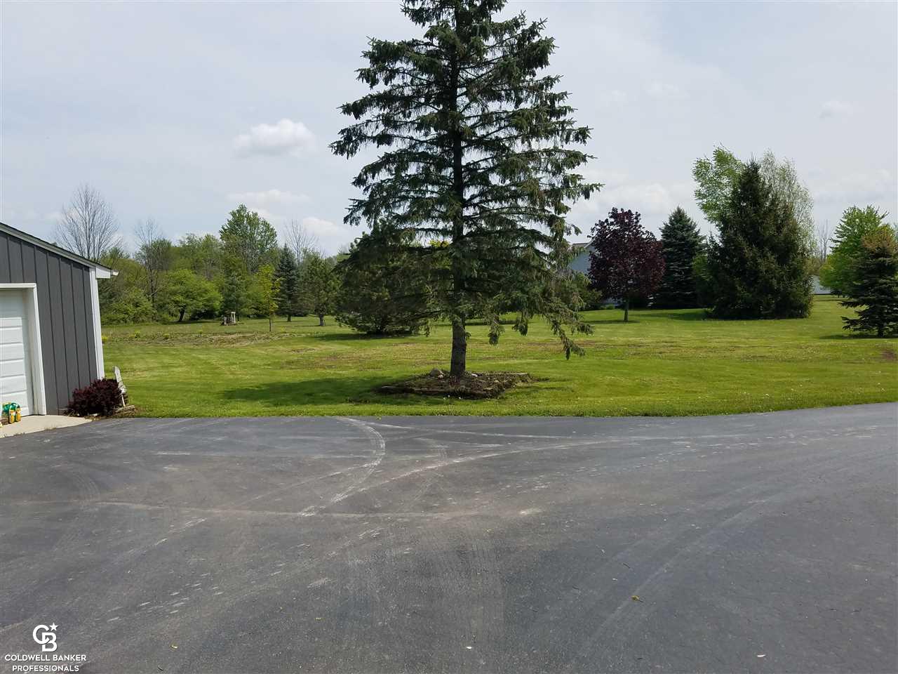 9100 Brandon Road Avoca, MI 48006 - Photo 19 of 21 This is a view of the side yard.