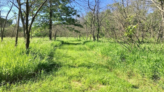 0 Upper Farm Road Oregon, IL 61061 - Photo 14 of 19