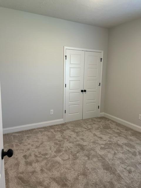 4063 Fringetree Loop New Ellenton, SC 29809 - Photo 6 of 13 image12