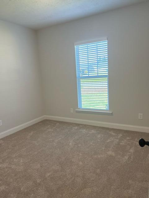 4063 Fringetree Loop New Ellenton, SC 29809 - Photo 7 of 13 image10