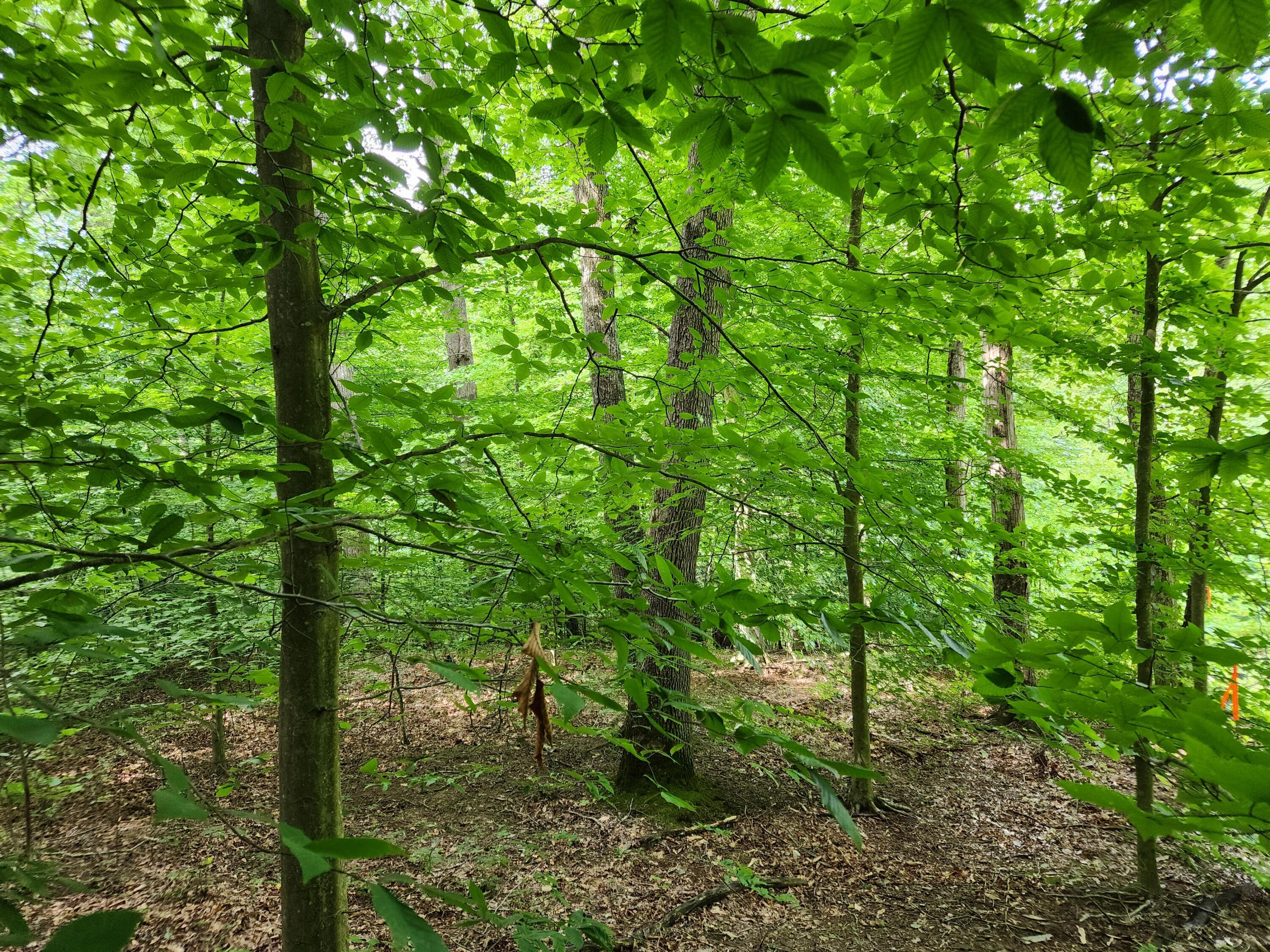 20036 Culp Road Logan, OH 43138 - Photo 10 of 39 20230720_111209