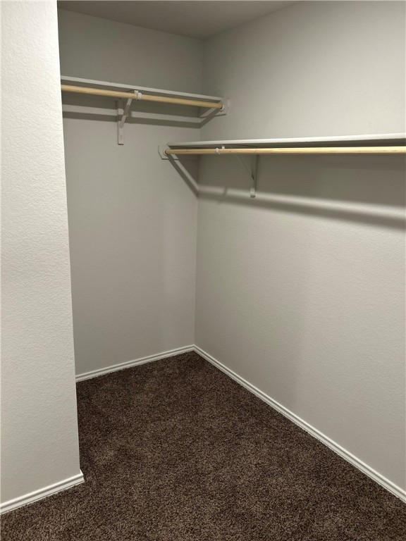 248 Poplin Lane Troy, TX 76579 - Photo 22 of 24 a view of an empty walk in closet
