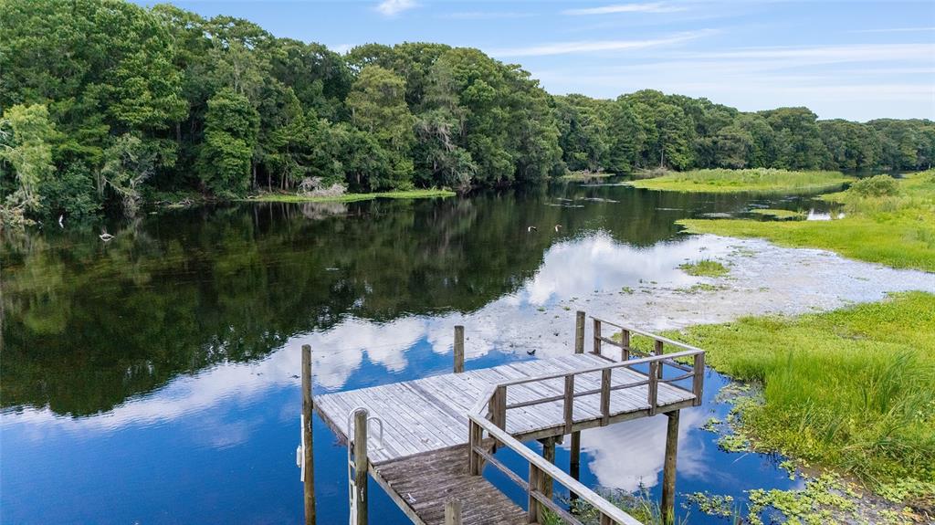 2299 North Bayou Point Inverness, FL 34453 - Photo 4 of 62