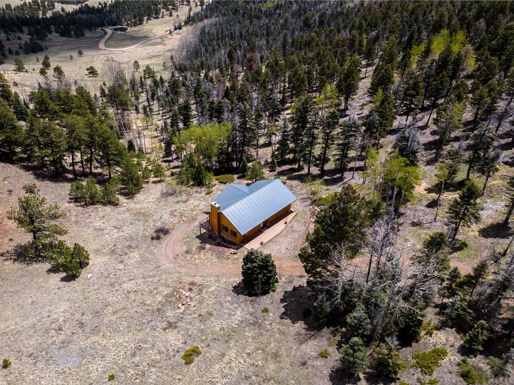 3549 Eagle Springs Road Westcliffe, CO 81252 - Photo 3 of 29