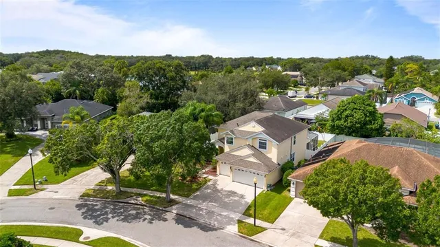 a view of a garden with mountain