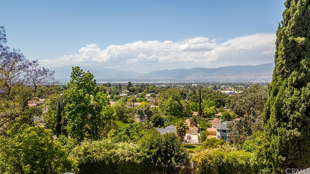 215 Grandview Drive Redlands, CA 92373 - Photo 52 of 69