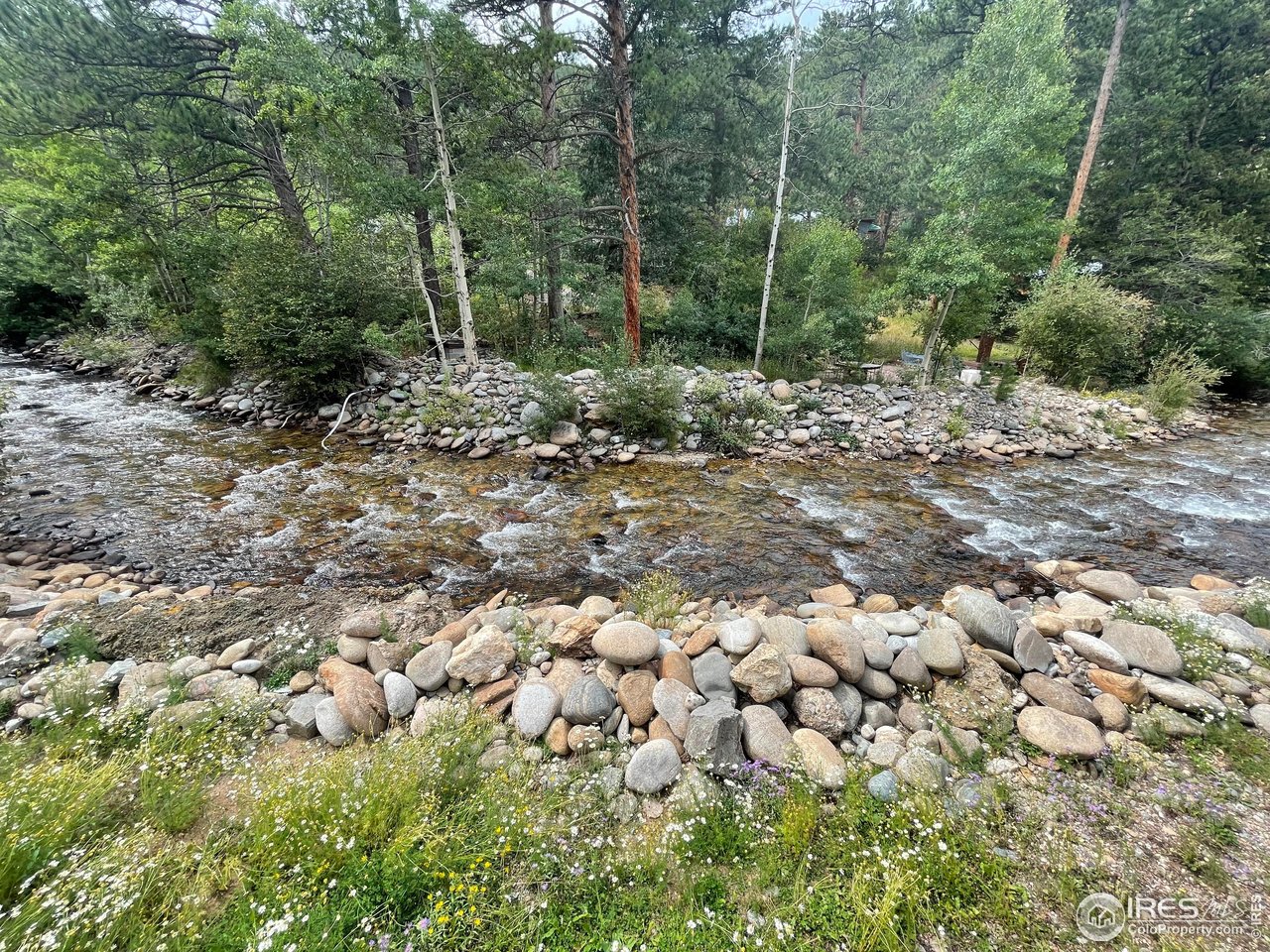 664 Riverside Drive Lyons, CO 80540 - Photo 15 of 16 a view of a forest with trees