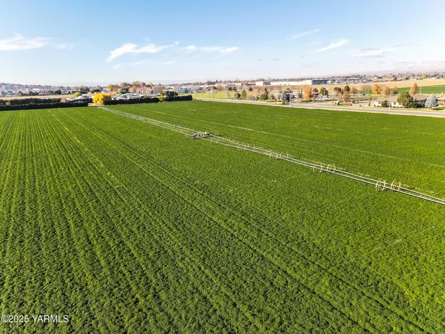 a view of a field with an ocean