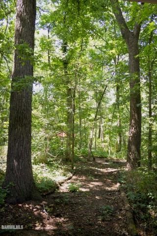 33 Galena Ridge Drive Stockton, IL 61085 - Photo 23 of 23 a backyard of a house with lots of green space