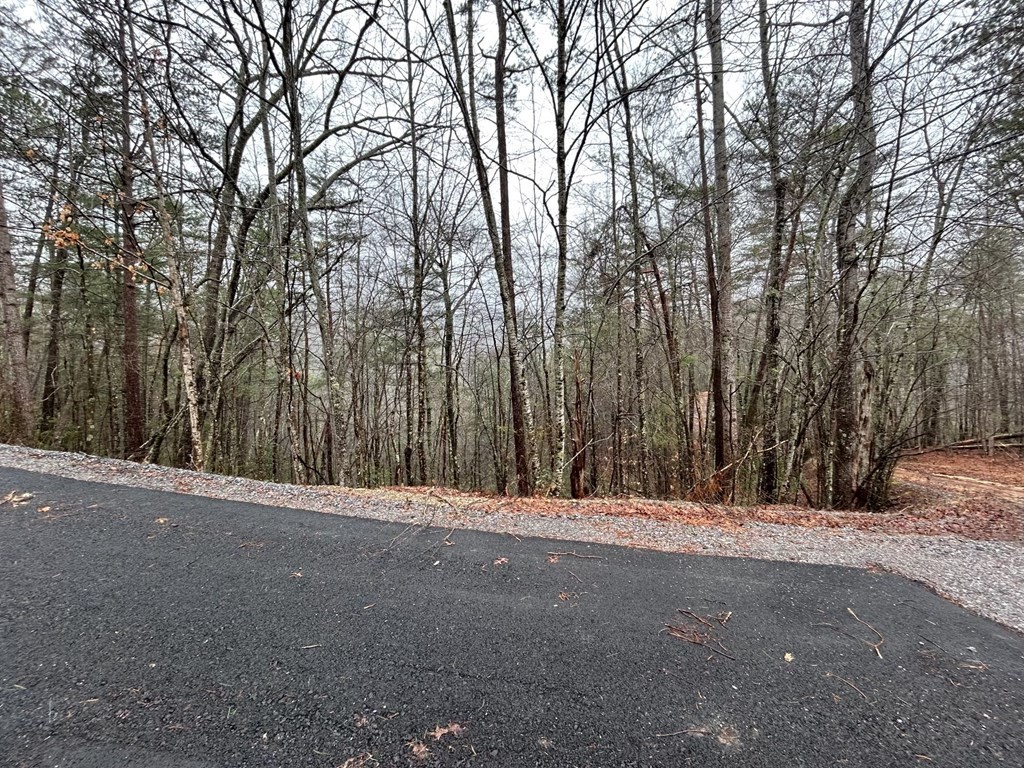 15 Clearview Road Sevierville, TN 37862 - Photo 7 of 16
