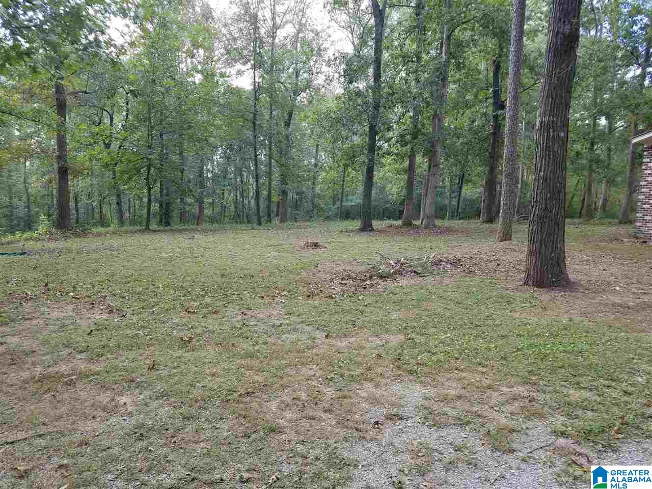 399 Riversight Drive Altoona, AL 35952 - Photo 32 of 32