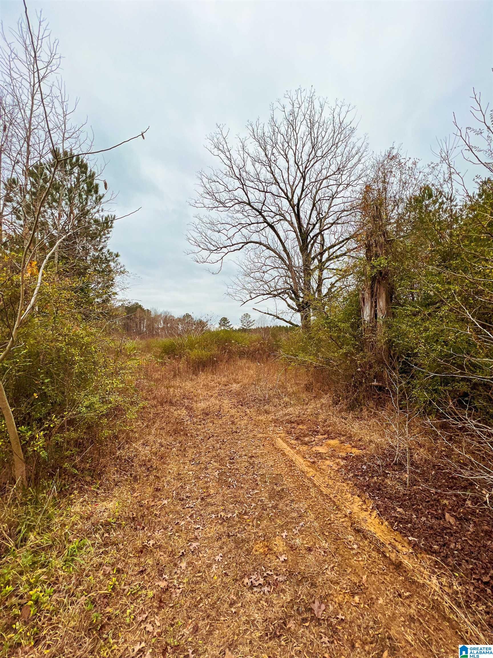 1118 North County Road, Unit WP001 Winfield, AL 35594 - Photo 13 of 17