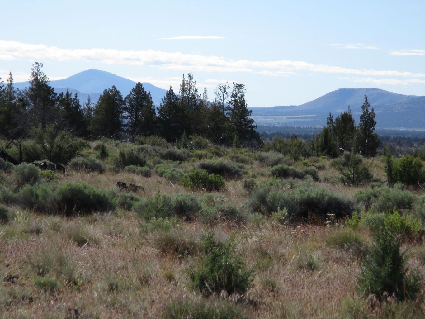 Lot-200 Southwest Graham Road Culver, OR 97734 - Photo 2 of 7 Graham 2