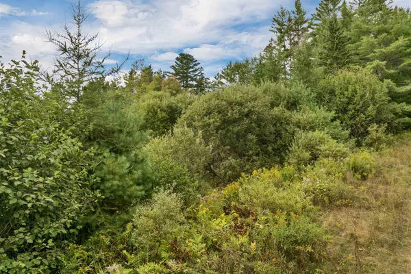 $375,000 | 0 Morel Road, Lancaster, NH 03584