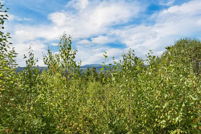 $375,000 | 0 Morel Road, Lancaster, NH 03584