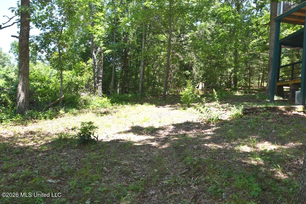 180 Red Oak Road Ashland, MS 38603 - Photo 20 of 33 Side Yard
