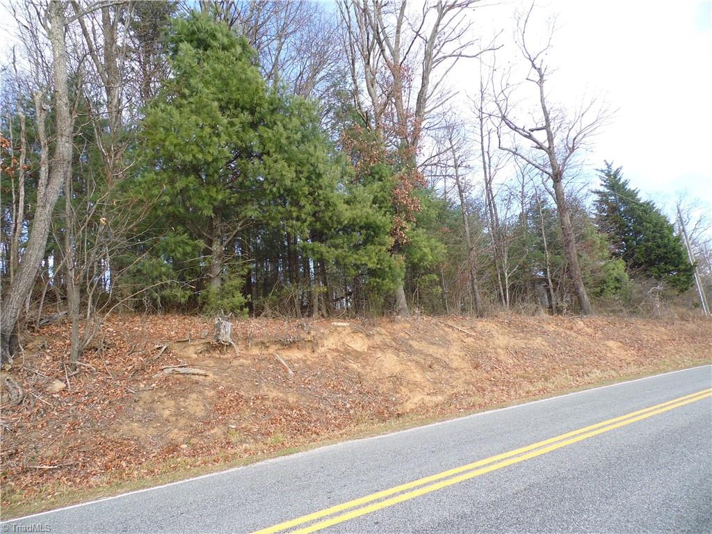 Tbd Tedder Road Sparta, NC 28675 - Photo 26 of 27