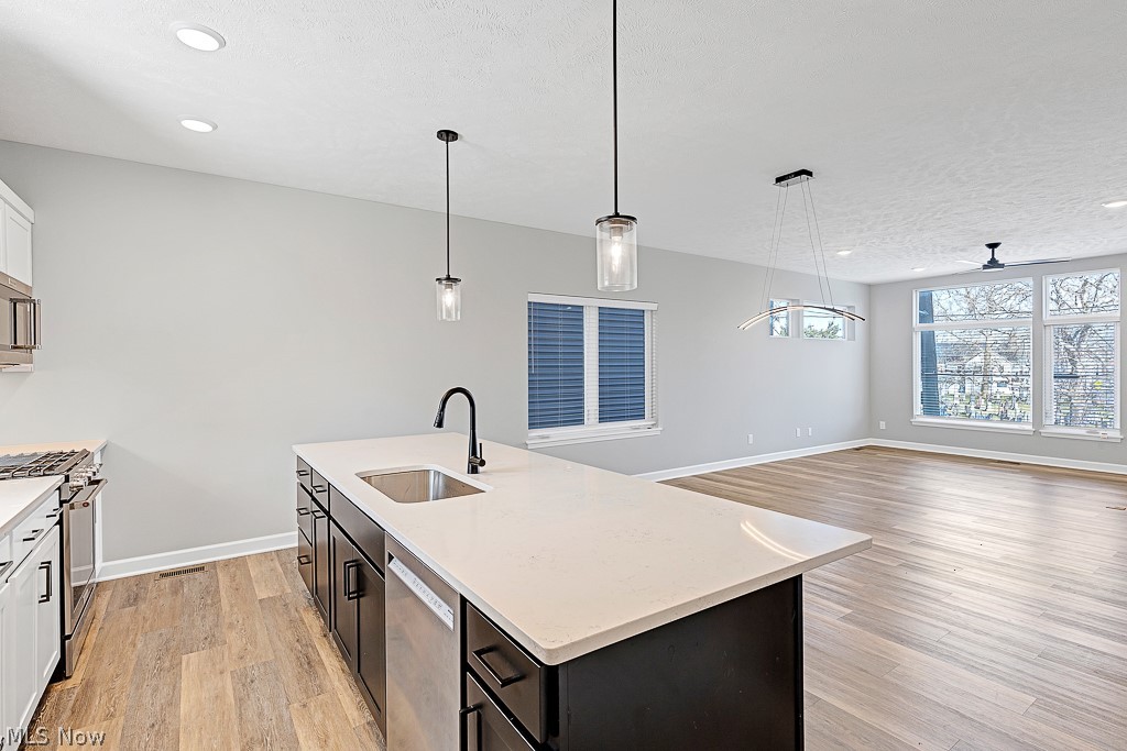 3601 Bailey Avenue Cleveland, OH 44113 - Photo 5 of 22 Kitchen with light wood-type flooring, stainless steel appliances, ceiling fan, decorative light fixtures, and sink