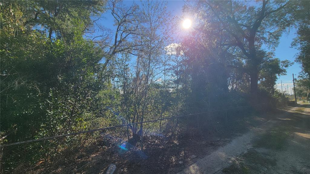 3911 Southeast 24th Street Ocala, FL 34471 - Photo 9 of 16 a view of a yard