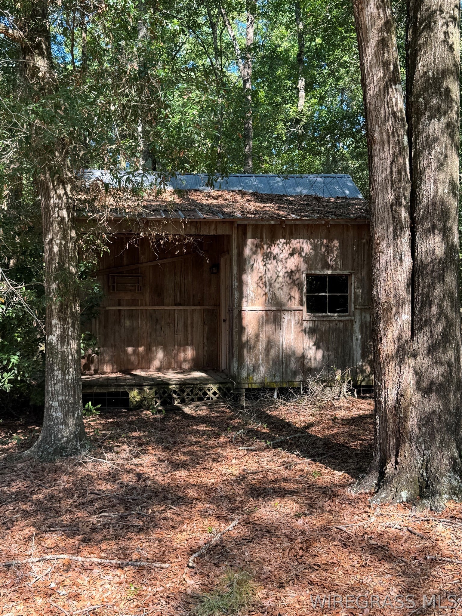 20680 Collie Road Andalusia, AL 36421 - Photo 4 of 22 Gallery Image 4