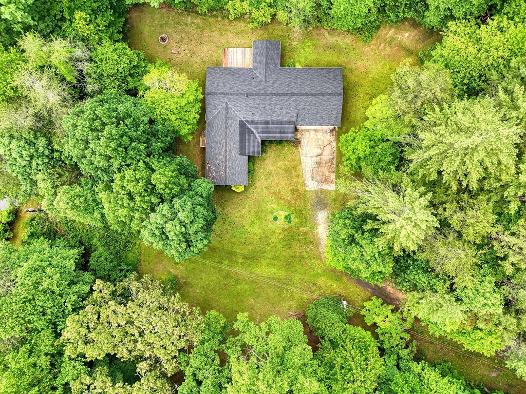 562 New Hope Club Road Ellijay, GA 30540 - Photo 36 of 49