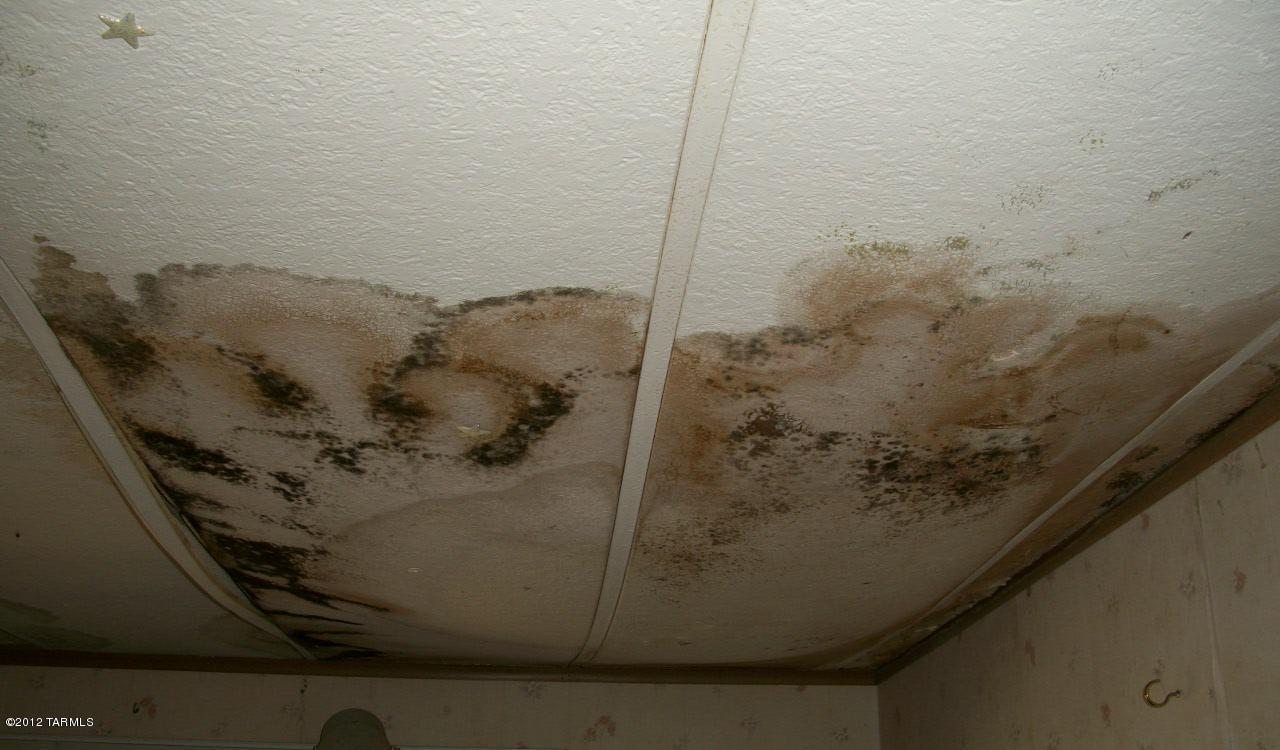 4765 East Substation Road, Unit 1 Tucson, AZ 85739 - Photo 3 of 4 Gallery Image 3