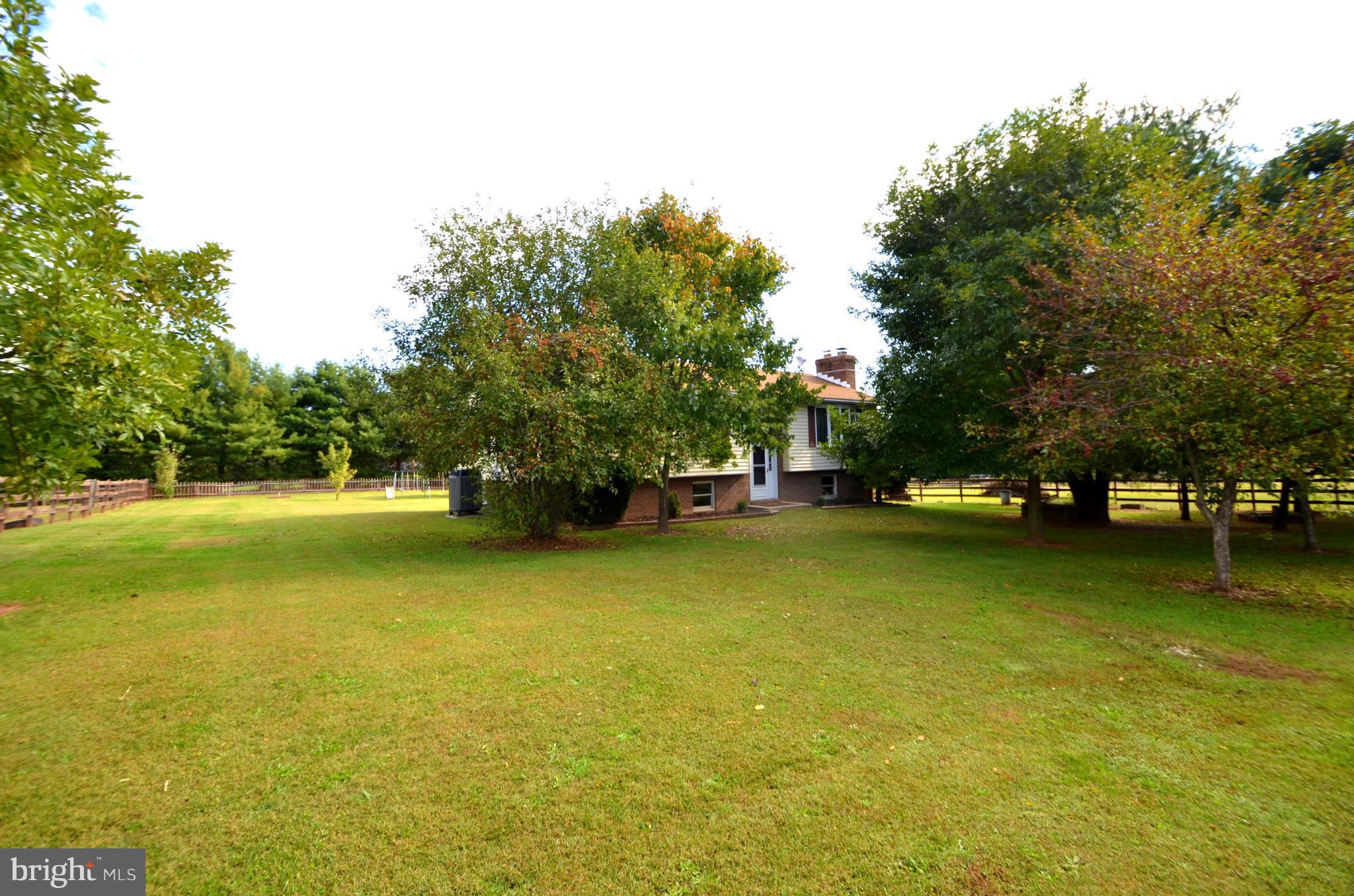1403 Pleasant View Road Tuscarora, MD 21790 - Photo 2 of 13 a view of a swimming pool and trees in the background