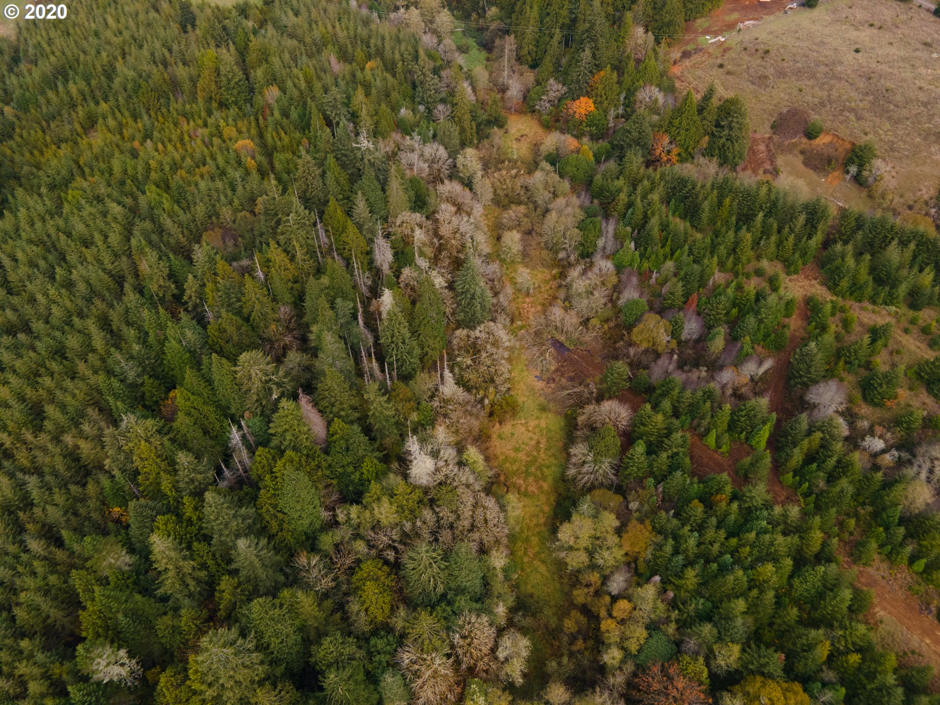 0 Fat Elk Road Coquille, OR 97423 - Photo 12 of 12