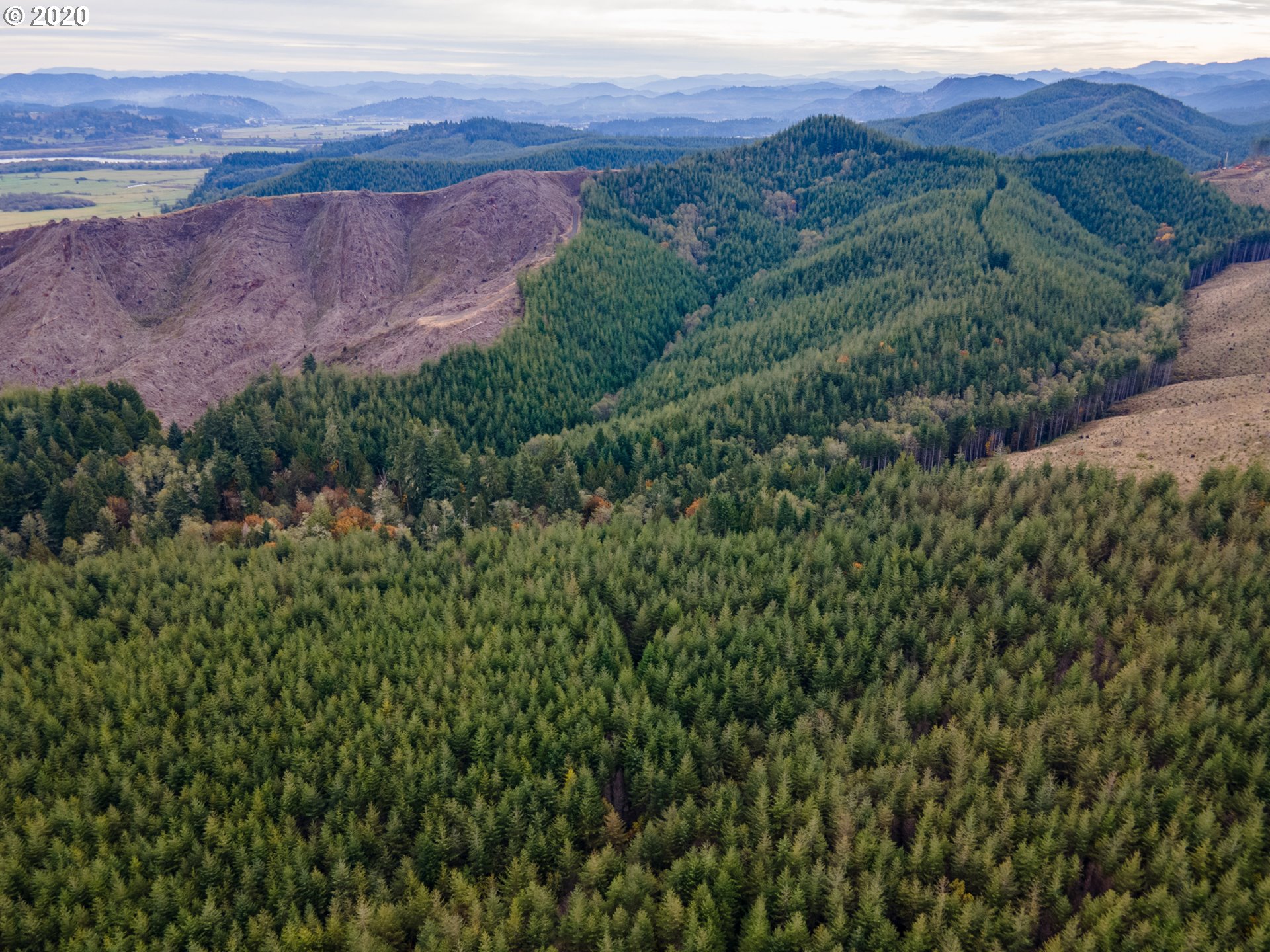 0 Fat Elk Road Coquille, OR 97423 - Photo 6 of 12
