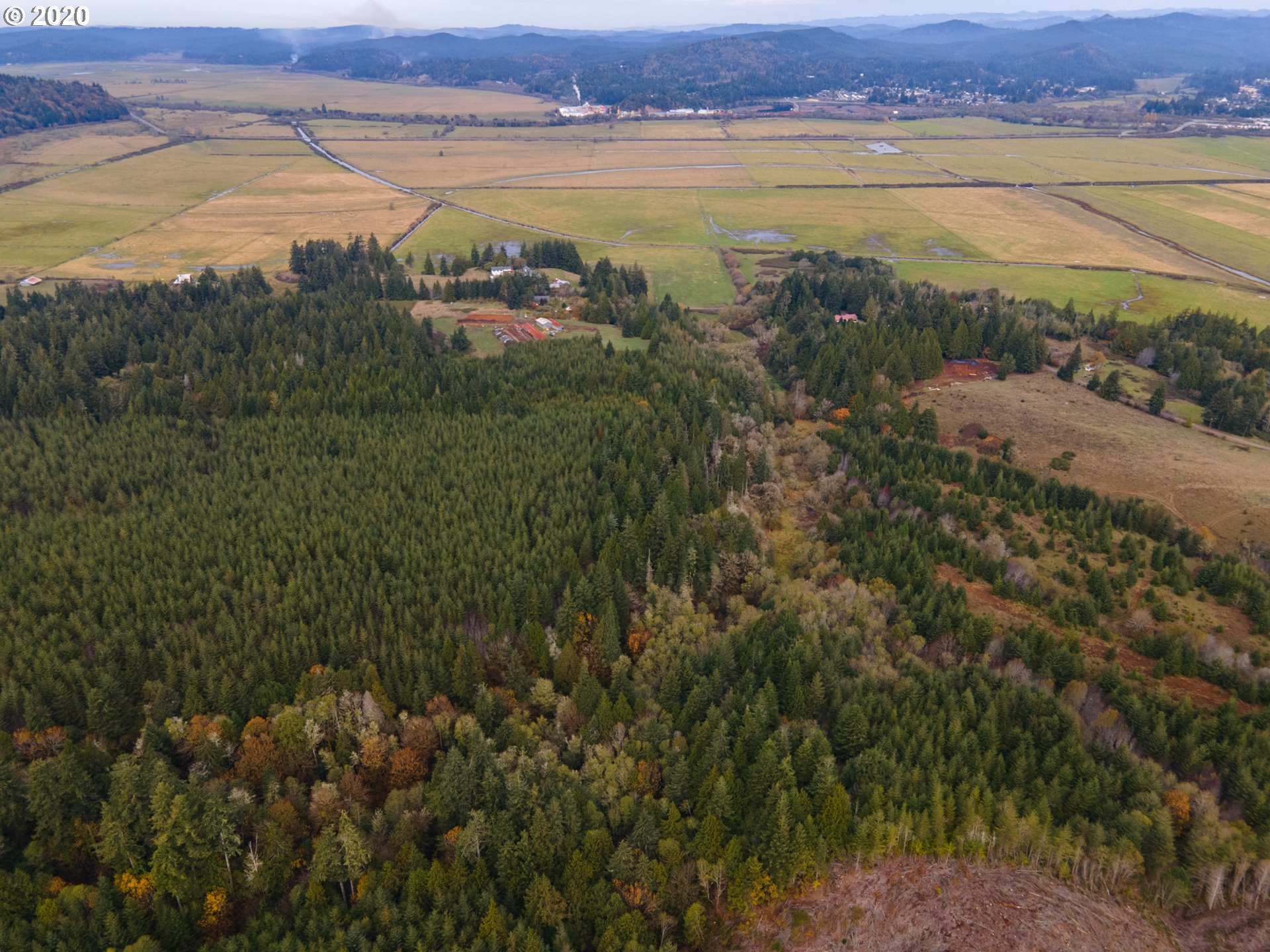 0 Fat Elk Road Coquille, OR 97423 - Photo 7 of 12